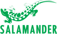1 salamander Tamplarie PVC Timisoara